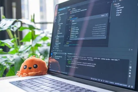 Full Stack Web Development